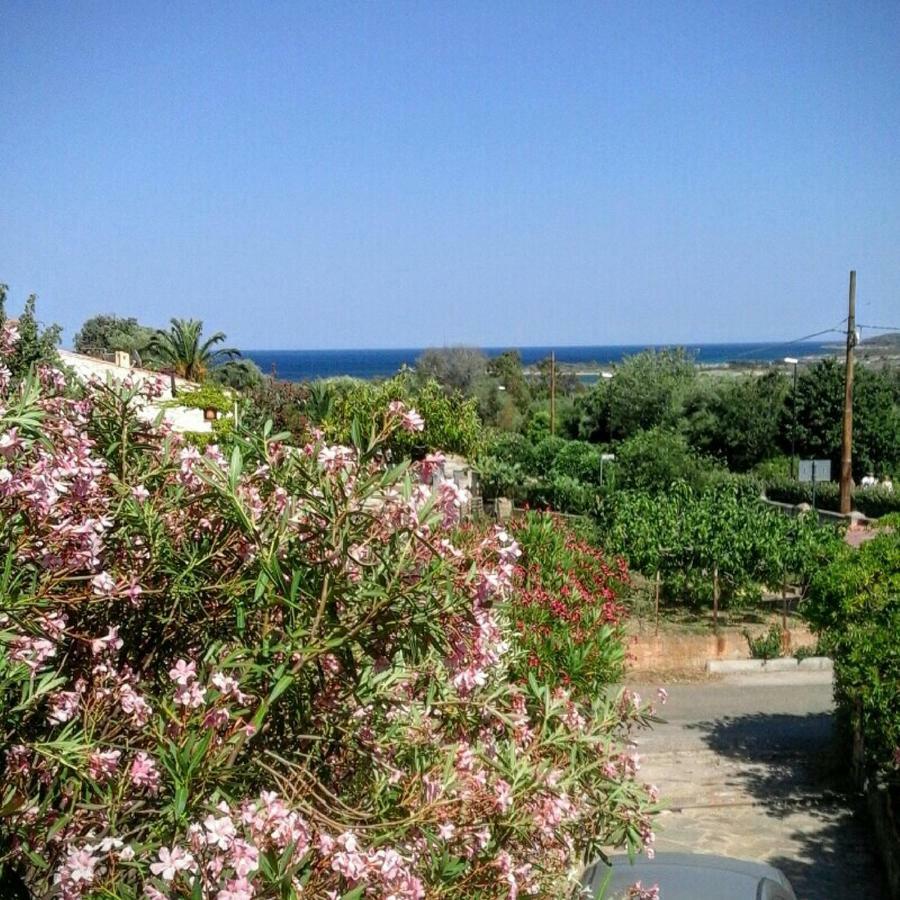 Cala D'Ambra E Ogliastra Villa San Teodoro  Exterior foto